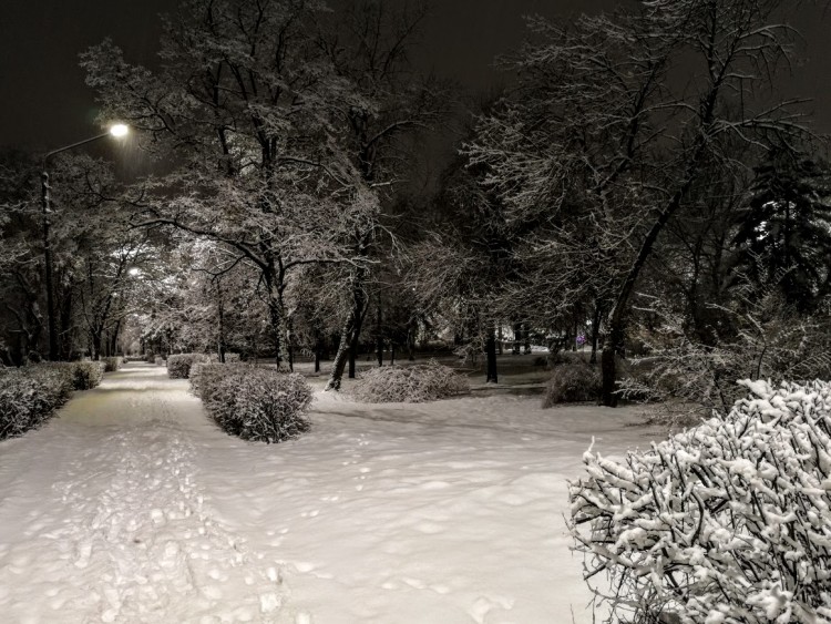 парк 22.02.2020.jpg