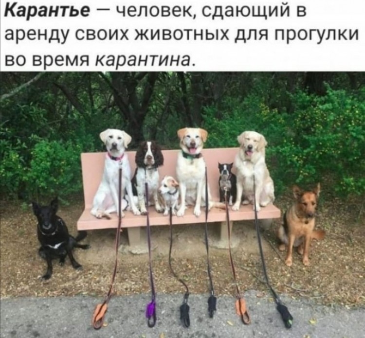 карантье.jpg