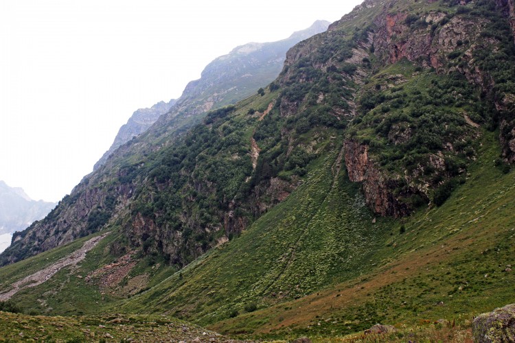 IMG_1446.JPG