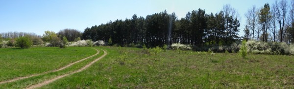 Панорама 496.JPG