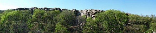 Панорама 517.JPG