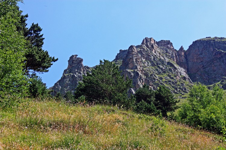 IMG_1566.JPG