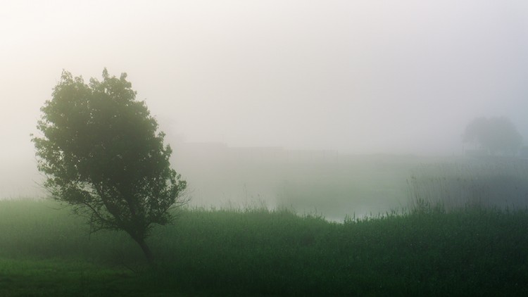 2020-06-02  024.jpg