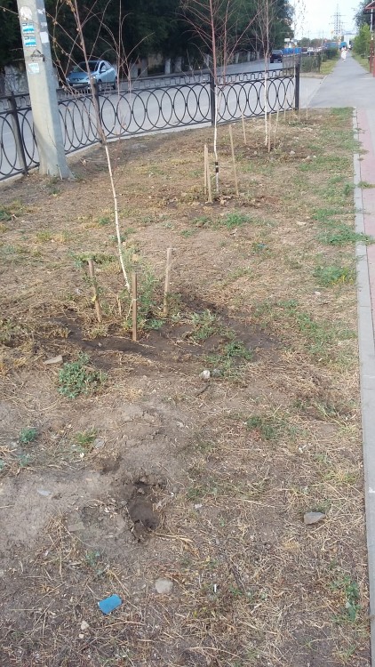 20200728_180226.jpg