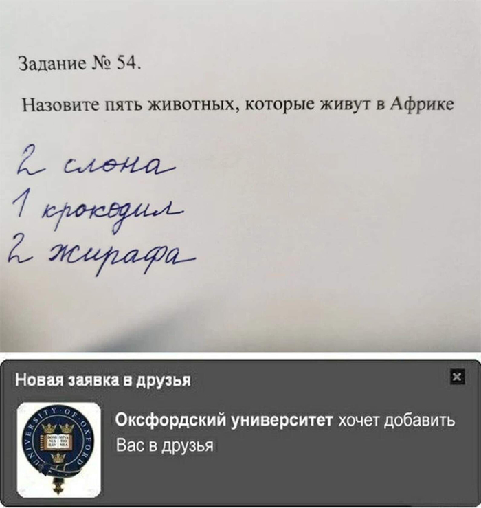 1606247724132724588.jpg