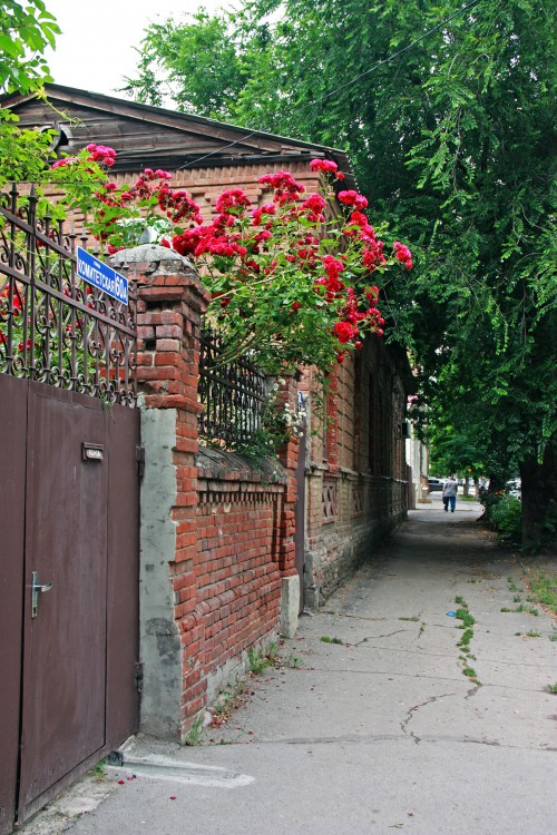 IMG_9600.JPG