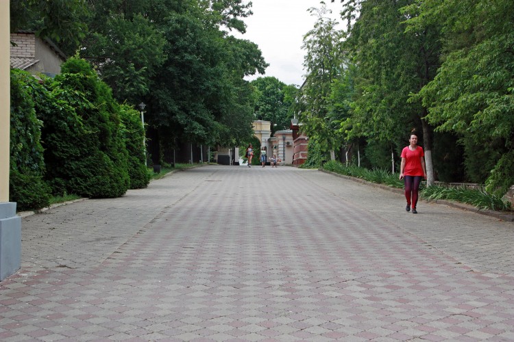 IMG_9669.JPG