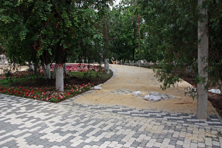 IMG_9683.JPG