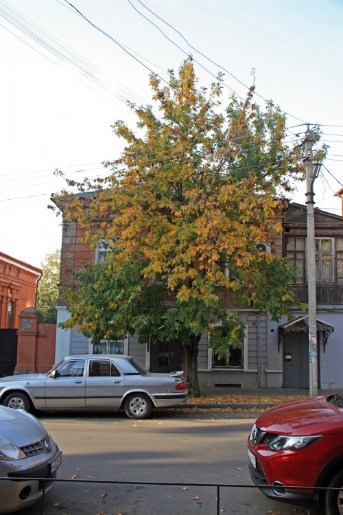 IMG_8581.JPG