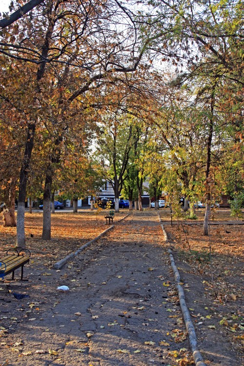 IMG_8589.JPG