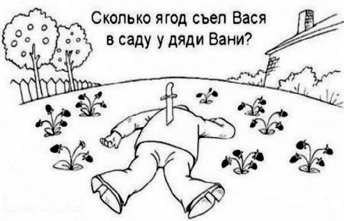 Сколько.jpg
