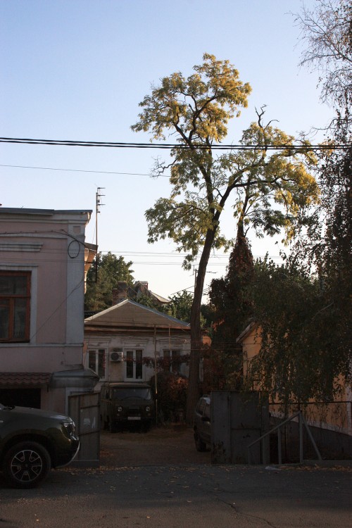 IMG_8610.JPG