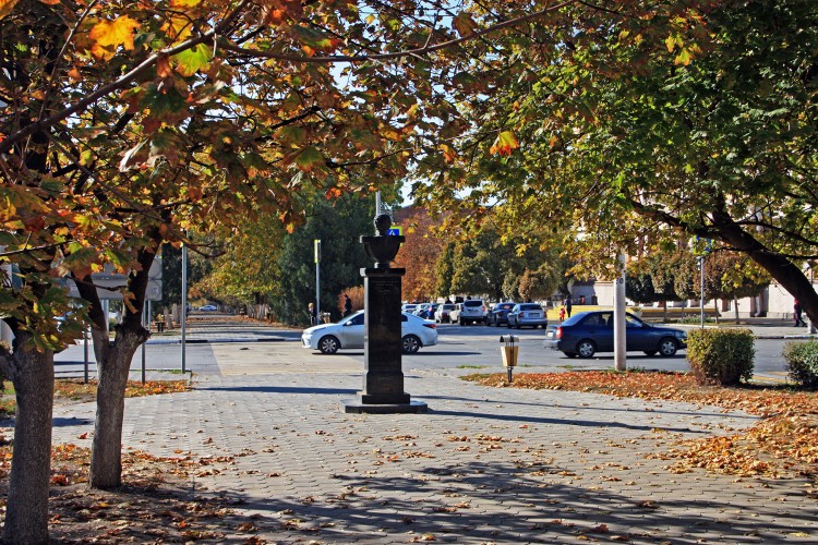 IMG_8685.JPG