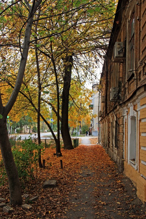 IMG_8753.JPG