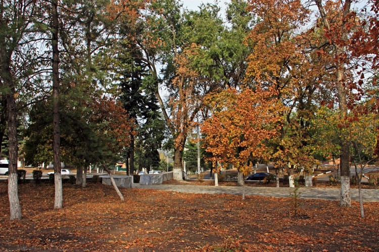 IMG_8764.JPG