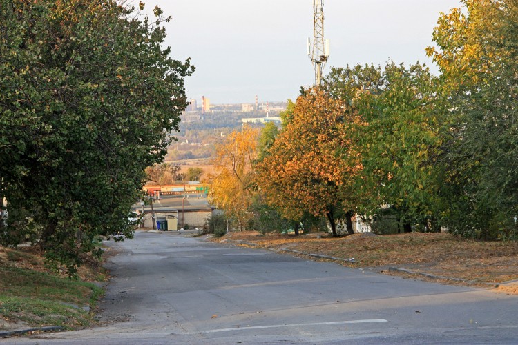 IMG_8896.JPG