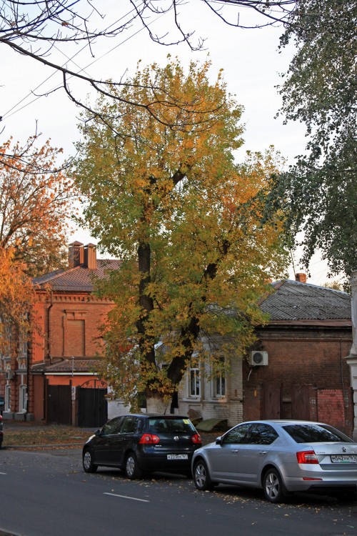 IMG_8951.JPG