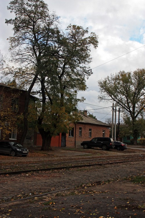 IMG_8990.JPG