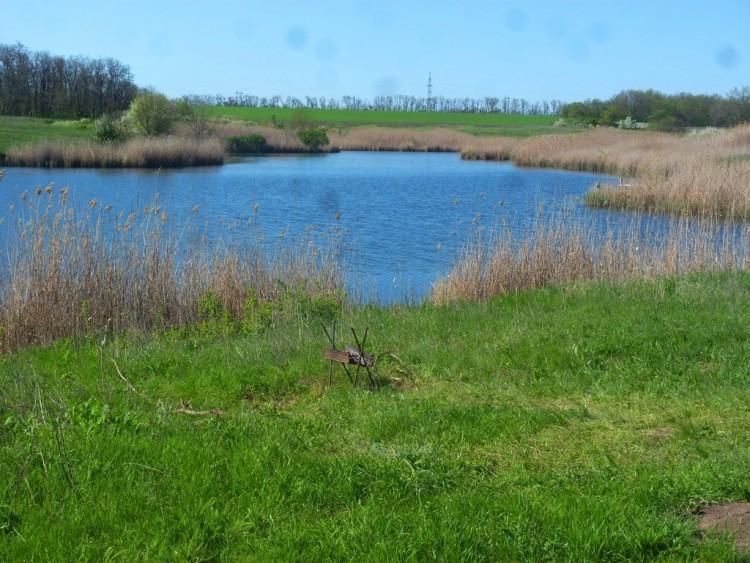 P1280200.JPG