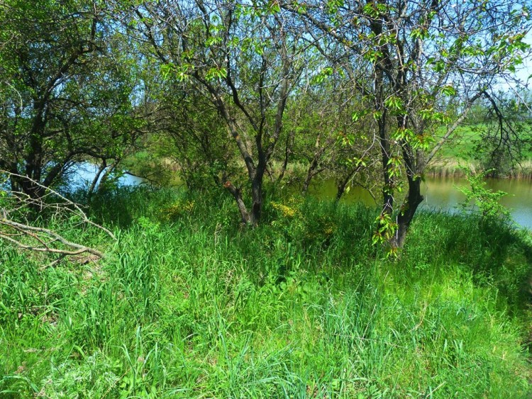 P1280254.JPG