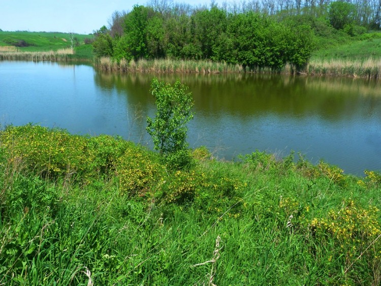 P1280256.JPG