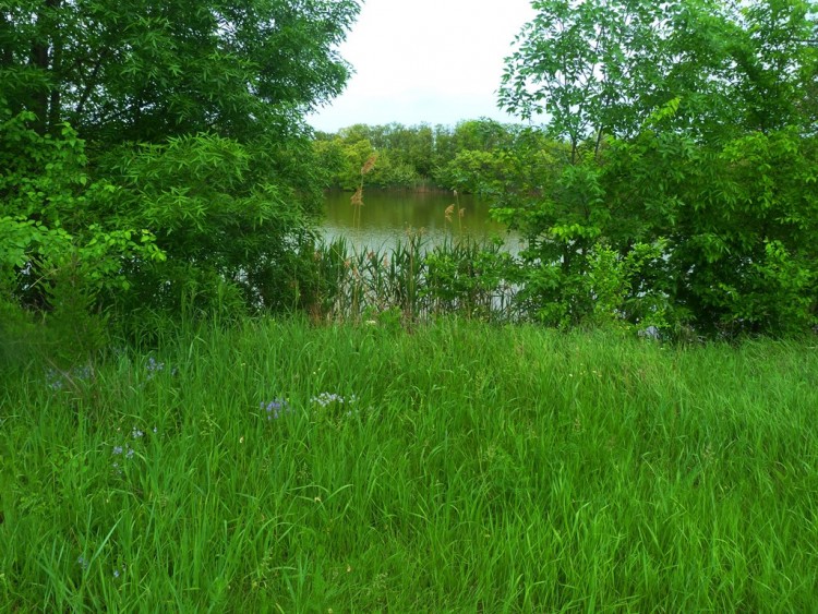 P1280362.JPG