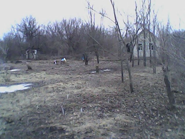 IMG0100A.jpg
