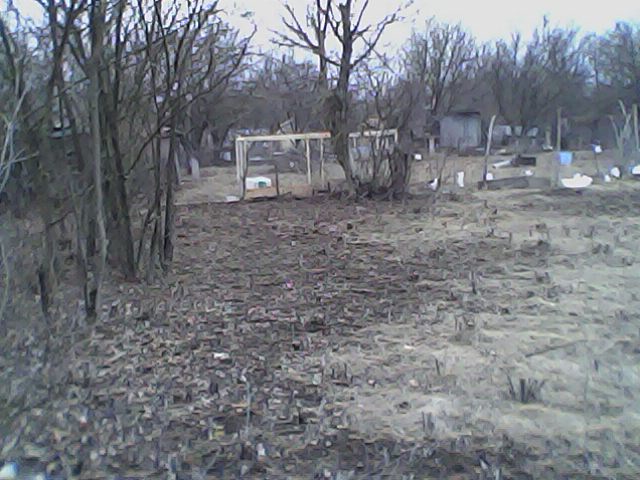 IMG0101A.jpg