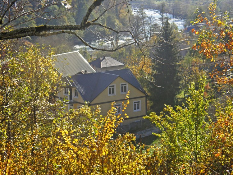 PB239523.JPG