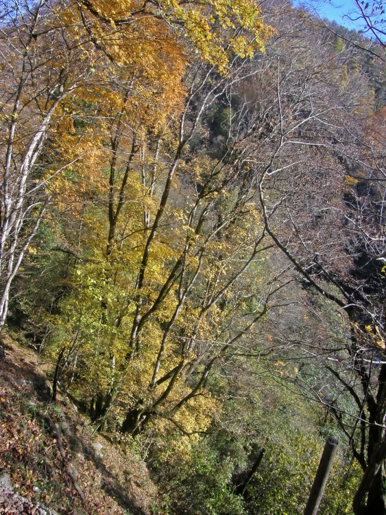 PB239535.jpg