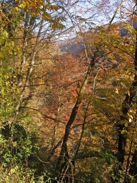 PB239536.jpg