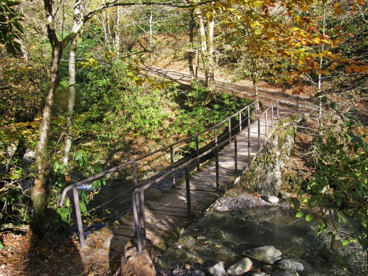 PB239551.JPG