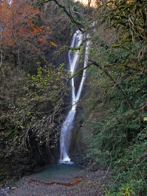 PB239575.jpg