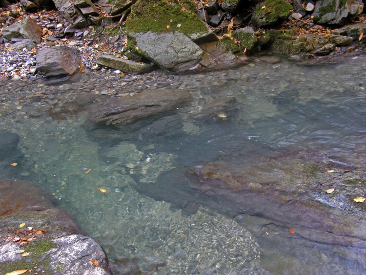 PB239742.JPG