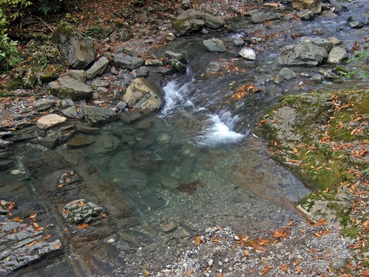PB239803.JPG