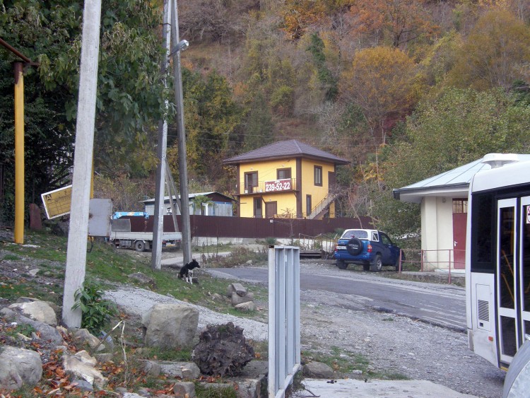 PB239821.JPG