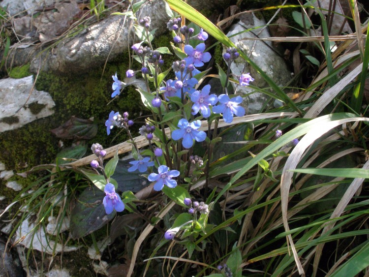 P4151348.JPG