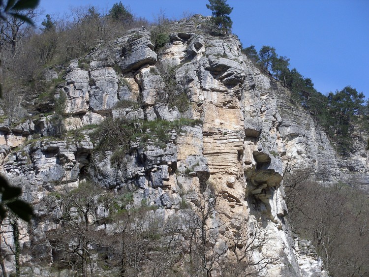 P4151353.JPG