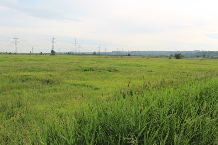 Аксайская пойма.JPG