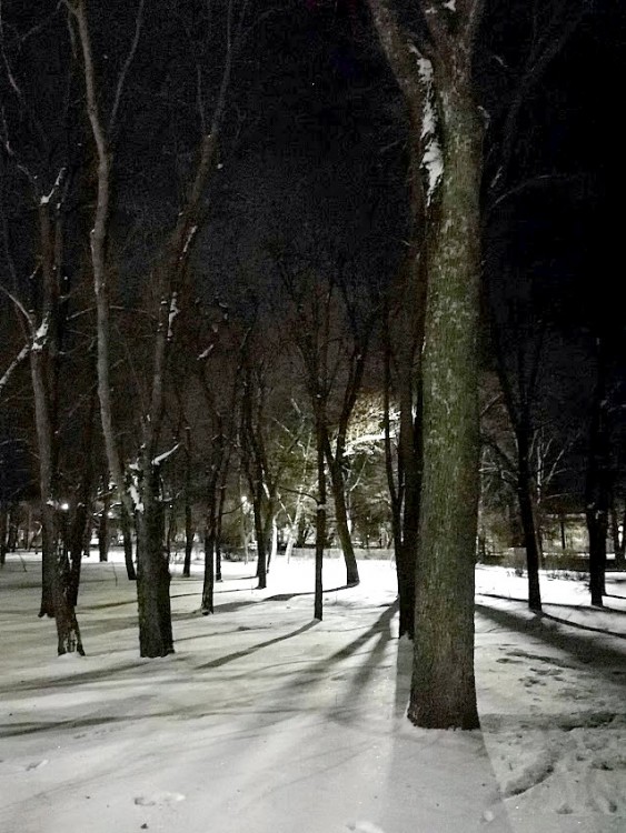 снег в парке 1.jpg