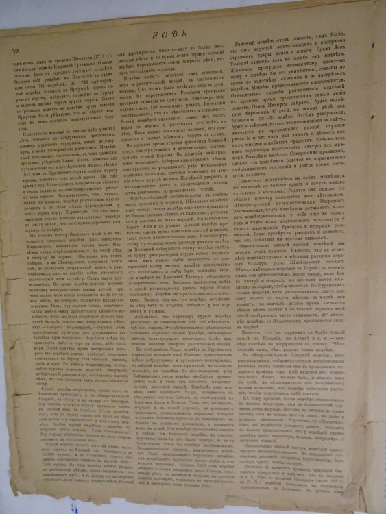 DSC02192.JPG