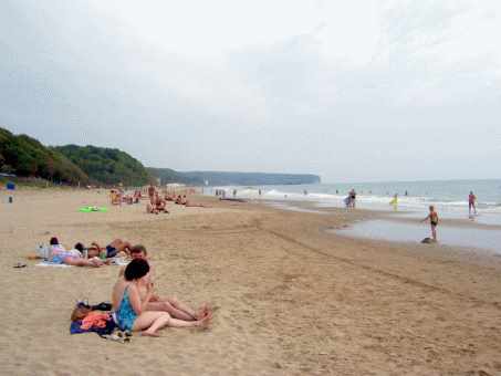 000_0365.jpg
