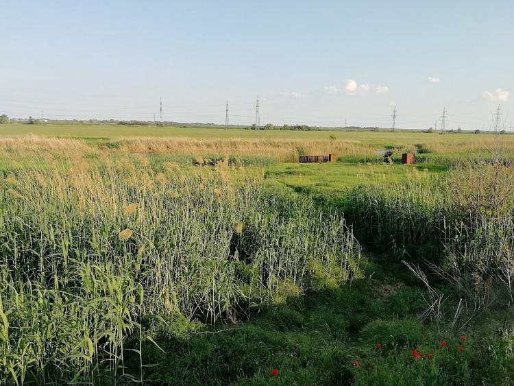 цк 3 20.5.2022.jpg