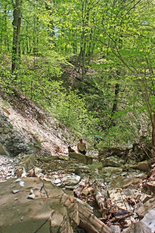 IMG_7304.JPG
