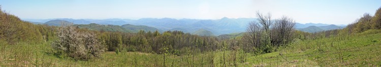 IMG_7329A.JPG