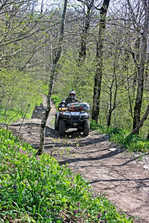 IMG_7333.JPG