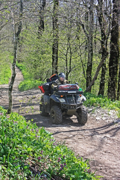 IMG_7335.JPG