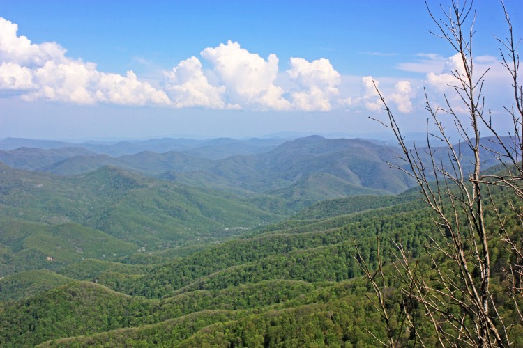IMG_7347.JPG