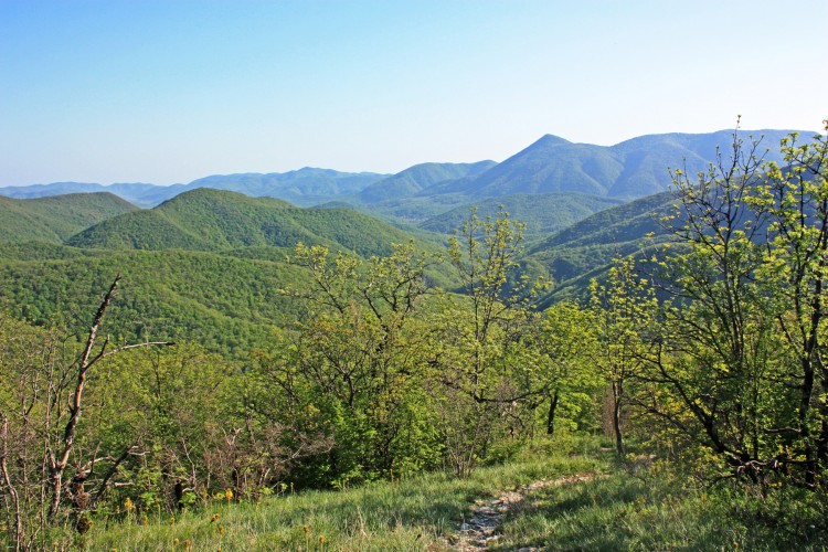 IMG_7377.JPG