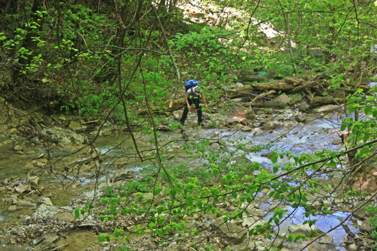 IMG_7651.JPG
